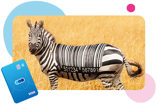 Zebra with a TSB Visa debit card