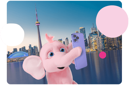Tiny the elephant in Toronto